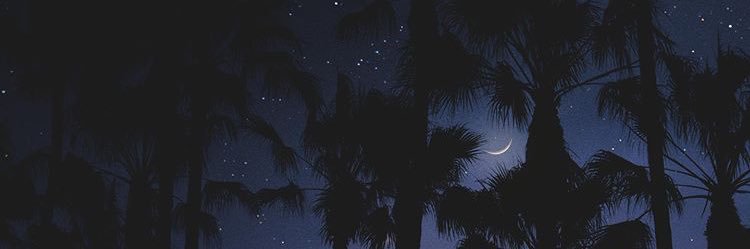 onesadmf banner