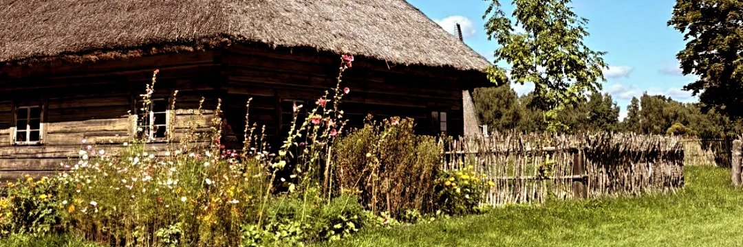 Déiseach 🇮🇪 banner