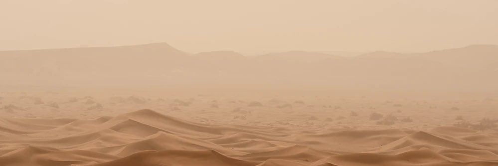 َ _shibal ☾ *･ﾟ⟢ banner