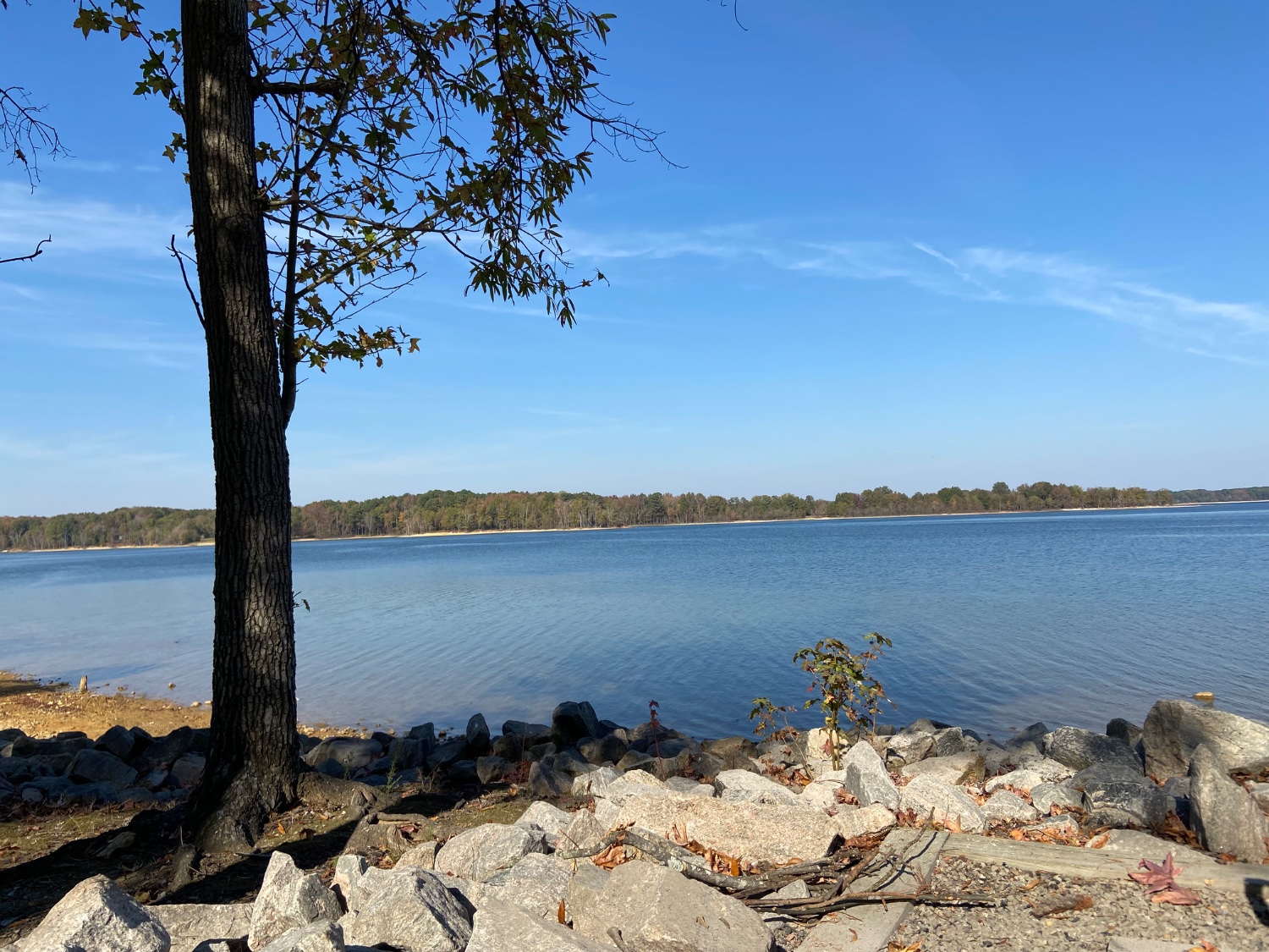 ACJ@joapatriot47 banner