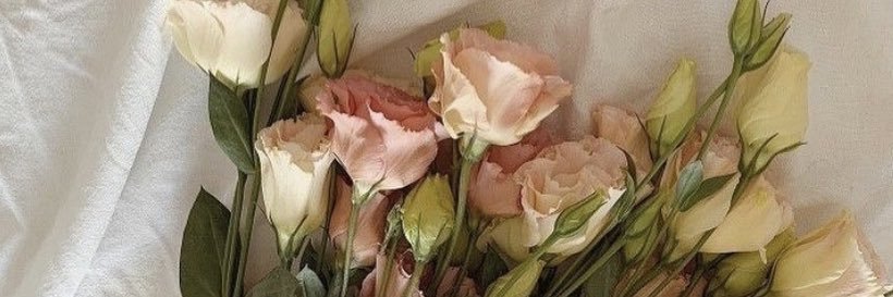 aleynayln01's profile banner image