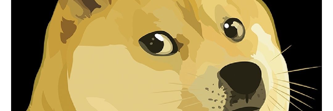 Mariusz banner