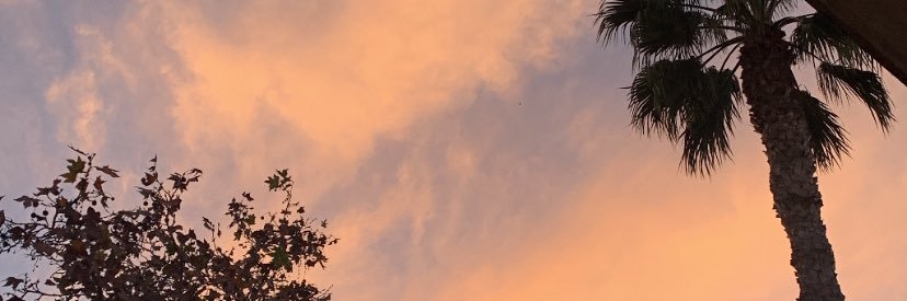 Ritajc04's profile banner image