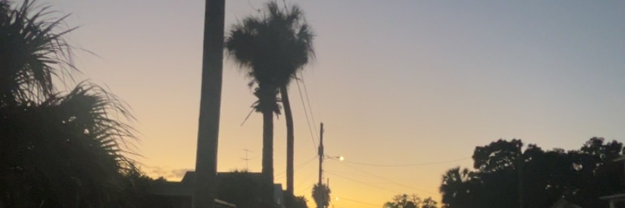 Marty Boyle banner