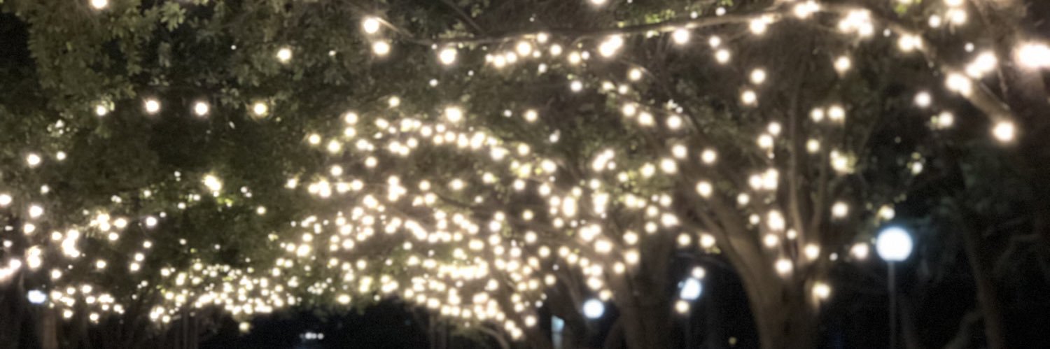 ppluggo_'s profile banner image
