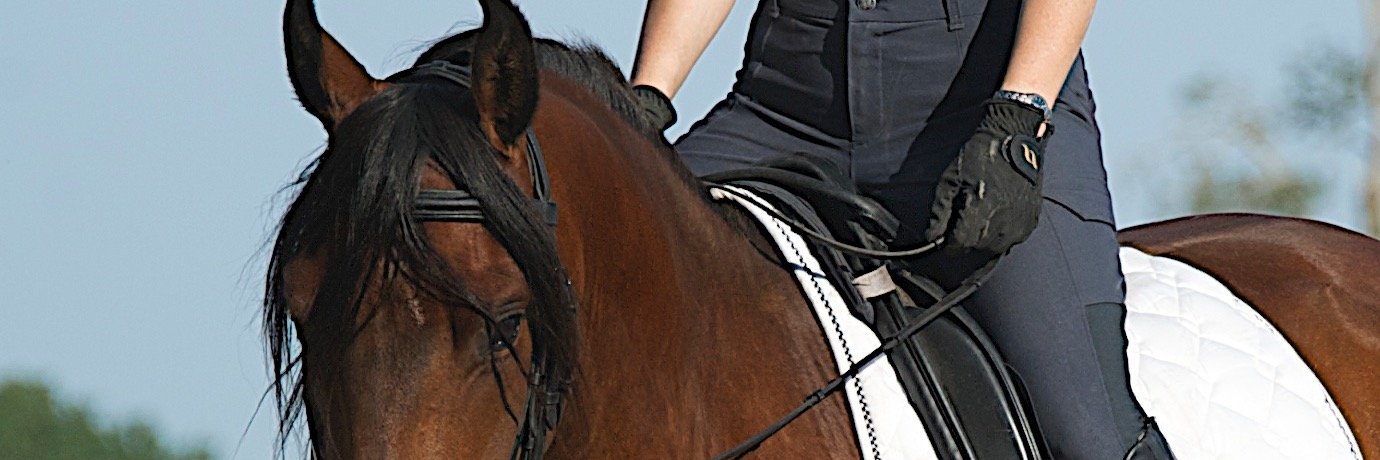 cairnsranch's profile banner image
