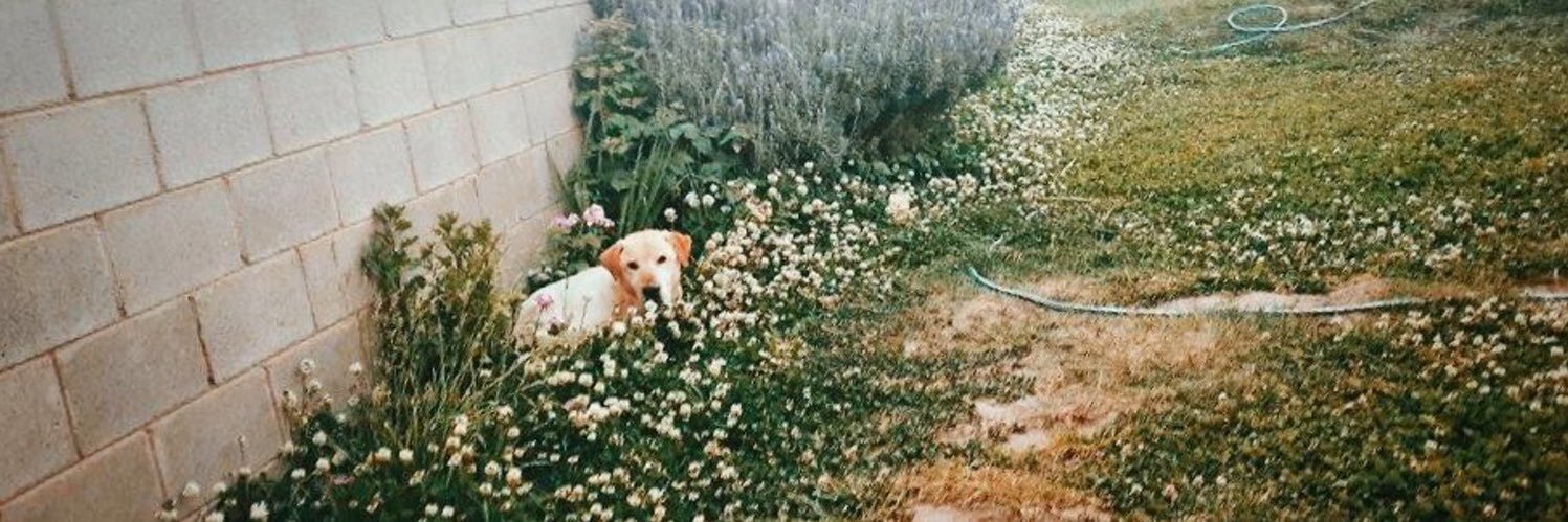 dbootyliciouss's profile banner image