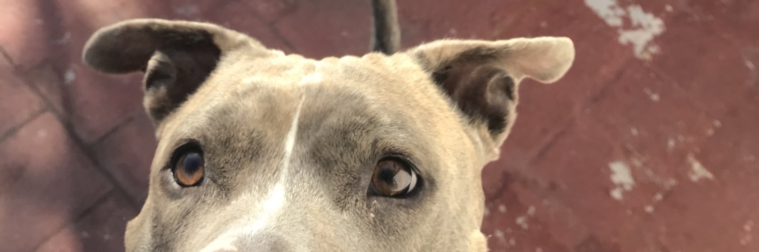 JohanCuesta_'s profile banner image