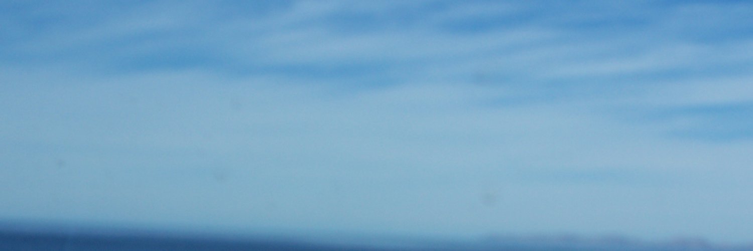 paisanitro's profile banner image