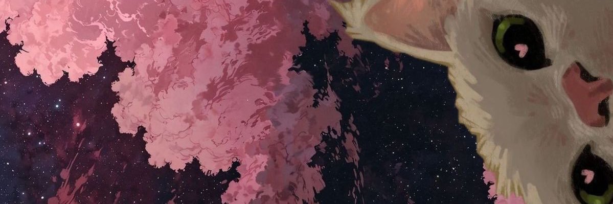 vstarlocket's profile banner image