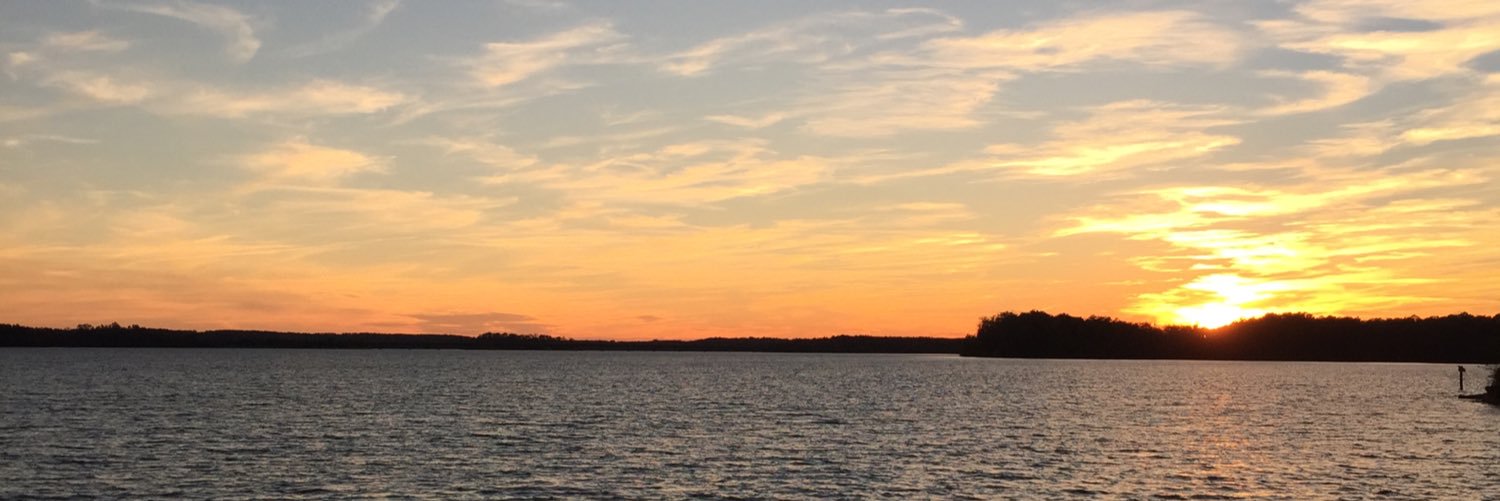 SCDeeDee's profile banner image