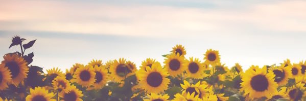 ChristianBeth_'s profile banner image