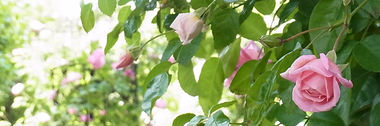 tae1209's profile banner image