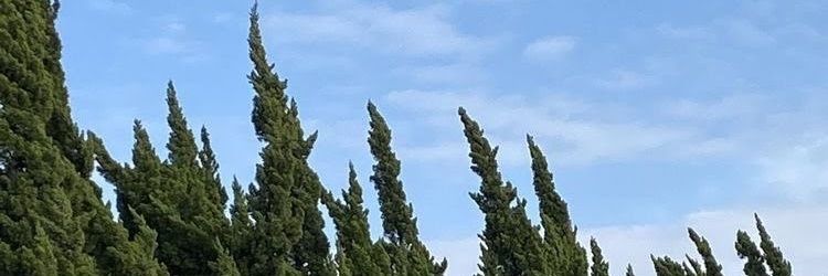 s banner