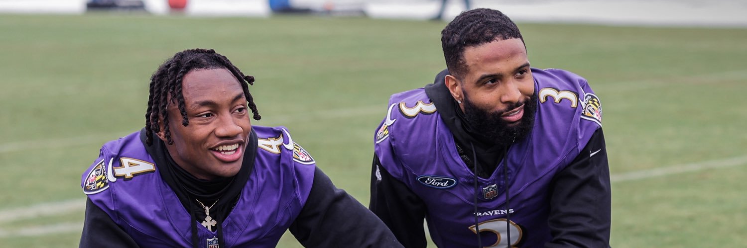 TerryGrandyRavensFlock banner