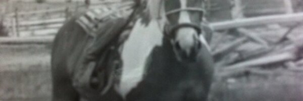 johndgunther Profile Banner