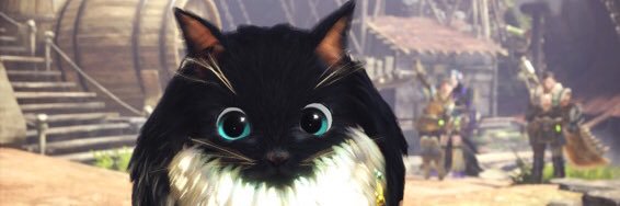 mpaurpiiklu's profile banner image