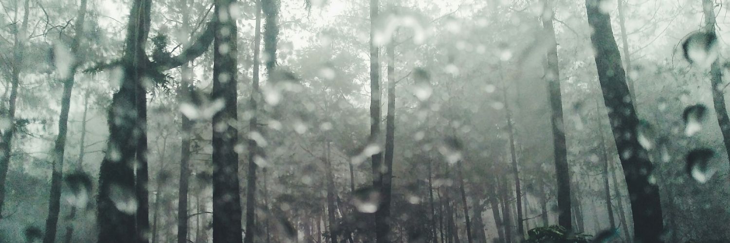 gamamonti's profile banner image