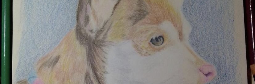 annie_martz's profile banner image