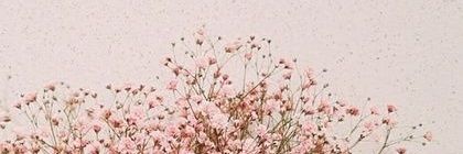 lylayla_'s profile banner image