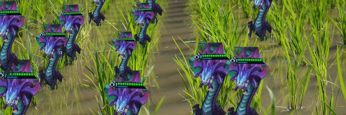 白井御米 banner