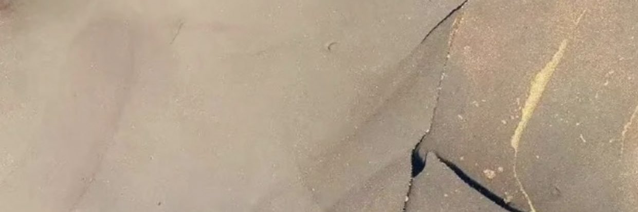 _______Serina's profile banner image