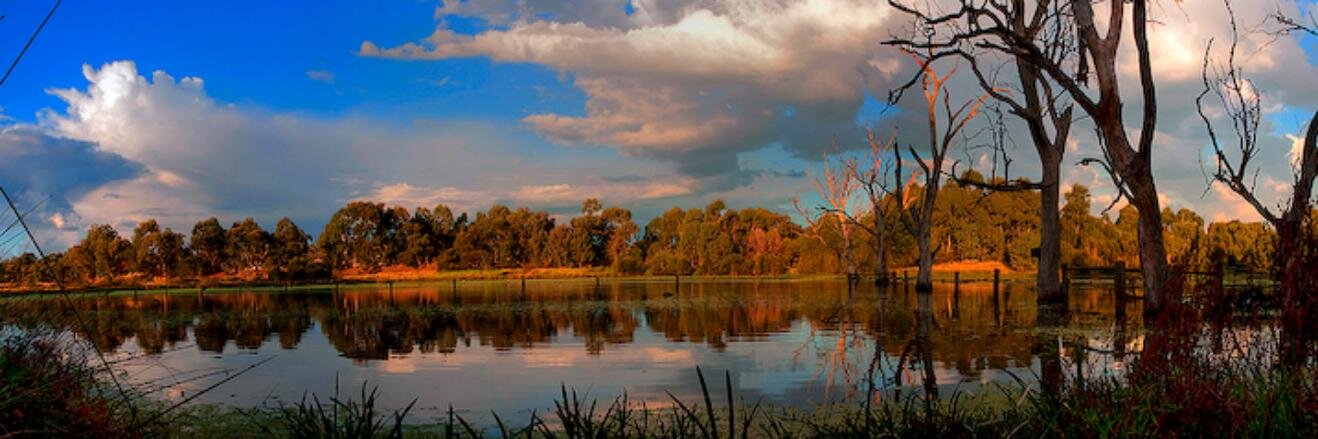 FriendsBanyule's profile banner image