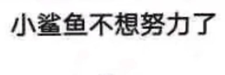__xiaowan's profile banner image