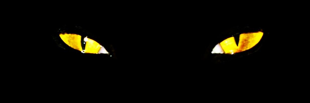 Geraldinepbdz's profile banner image
