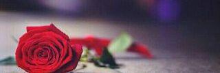 0505784182's profile banner image