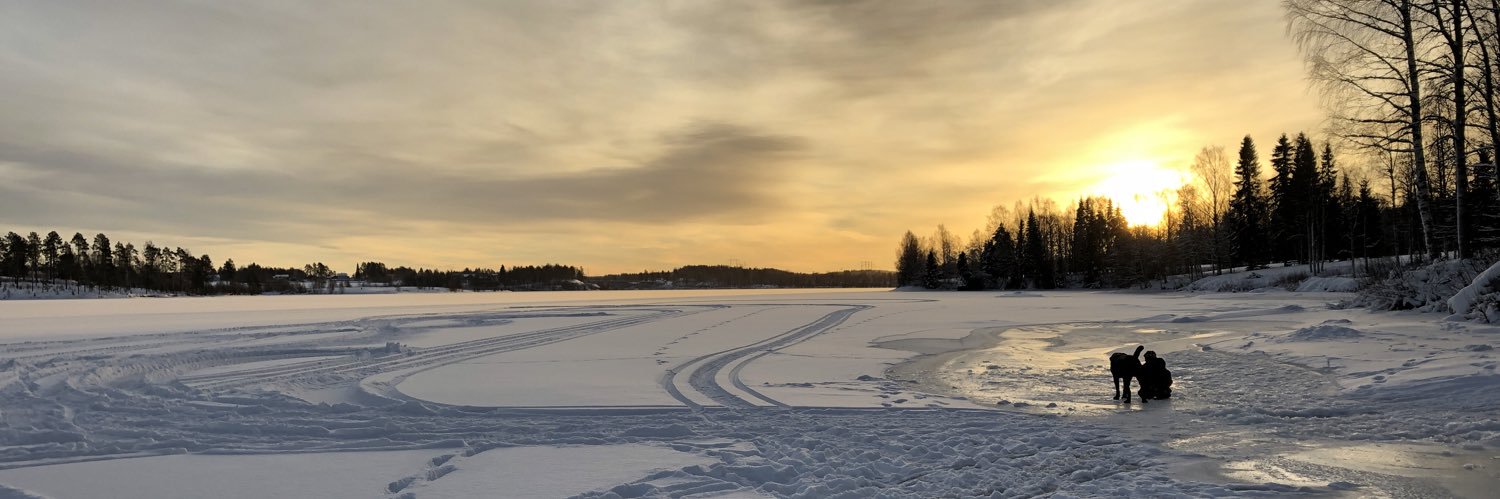 Linn Lundström banner