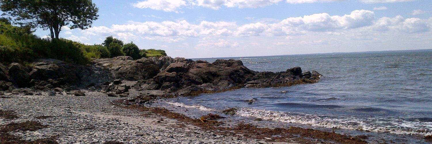 DianeClehane's profile banner image