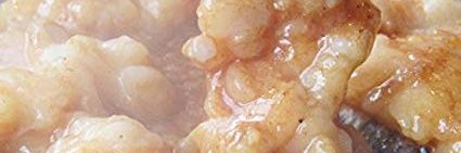 18toratora's profile banner image