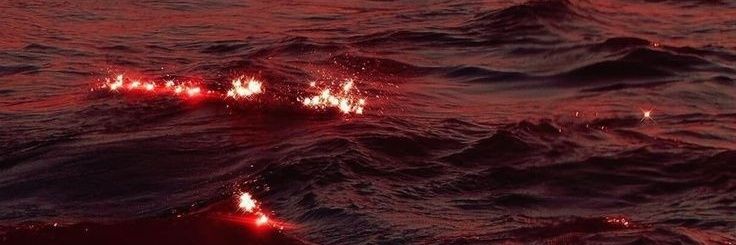 calamity || edtwt banner