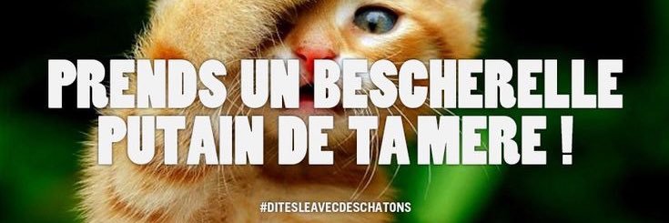 DogtagOmega 🫠 banner