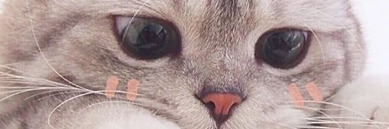 Faithmaryyy's profile banner image