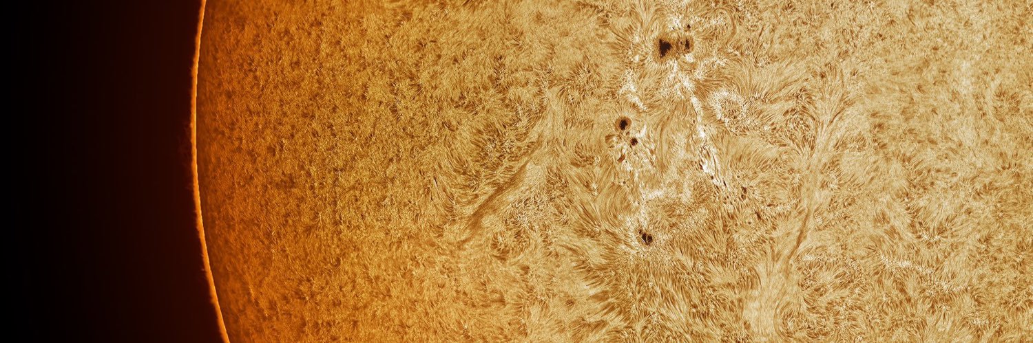 JaggerJack💎♣️ banner