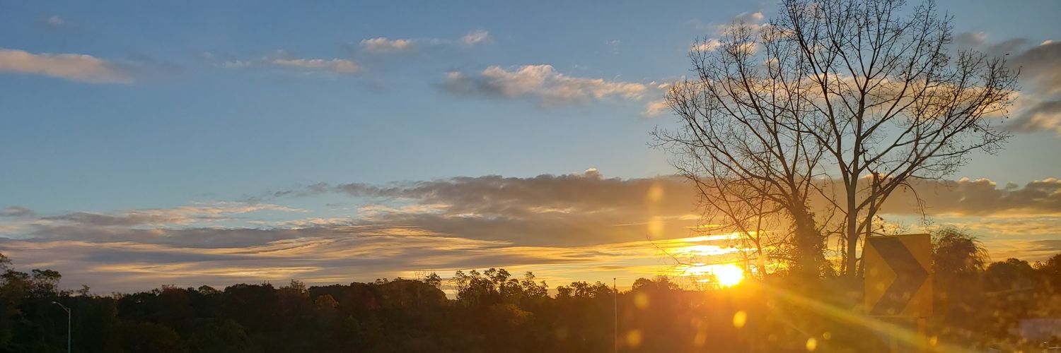 gliriz14's profile banner image