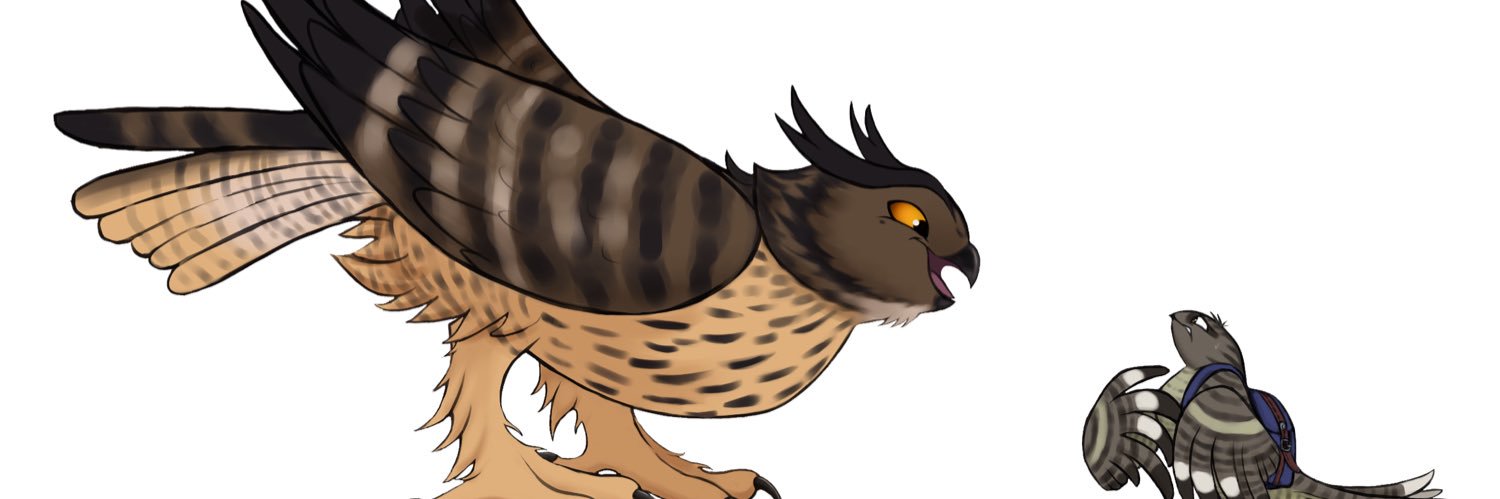 sallylla's profile banner image