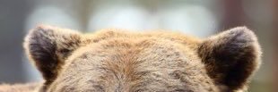 so_whelmed's profile banner image