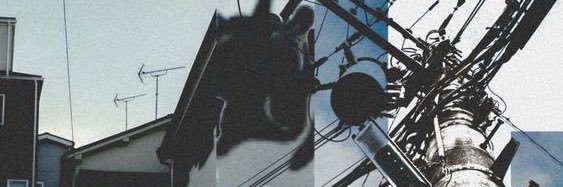 🪼велика риба клоун 🫀 banner