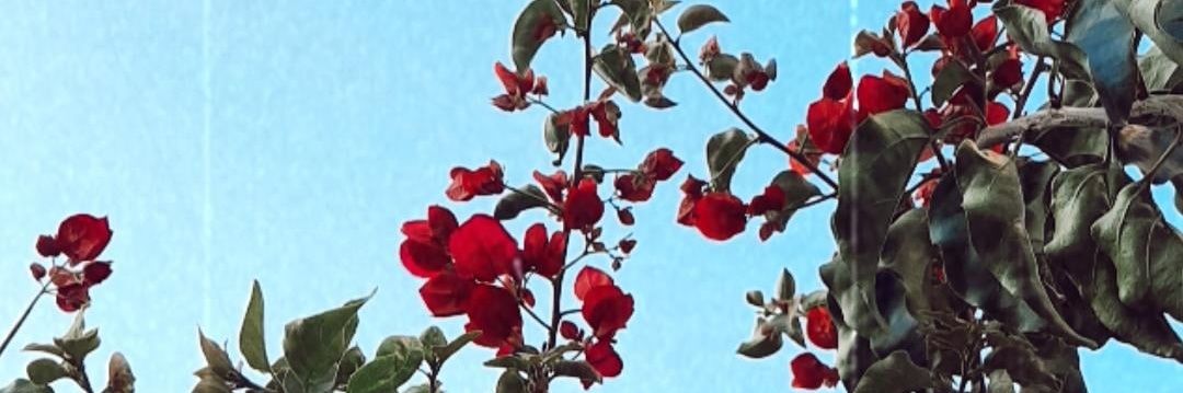lujigermano's profile banner image