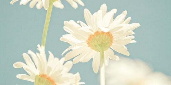 fildastevanni's profile banner image