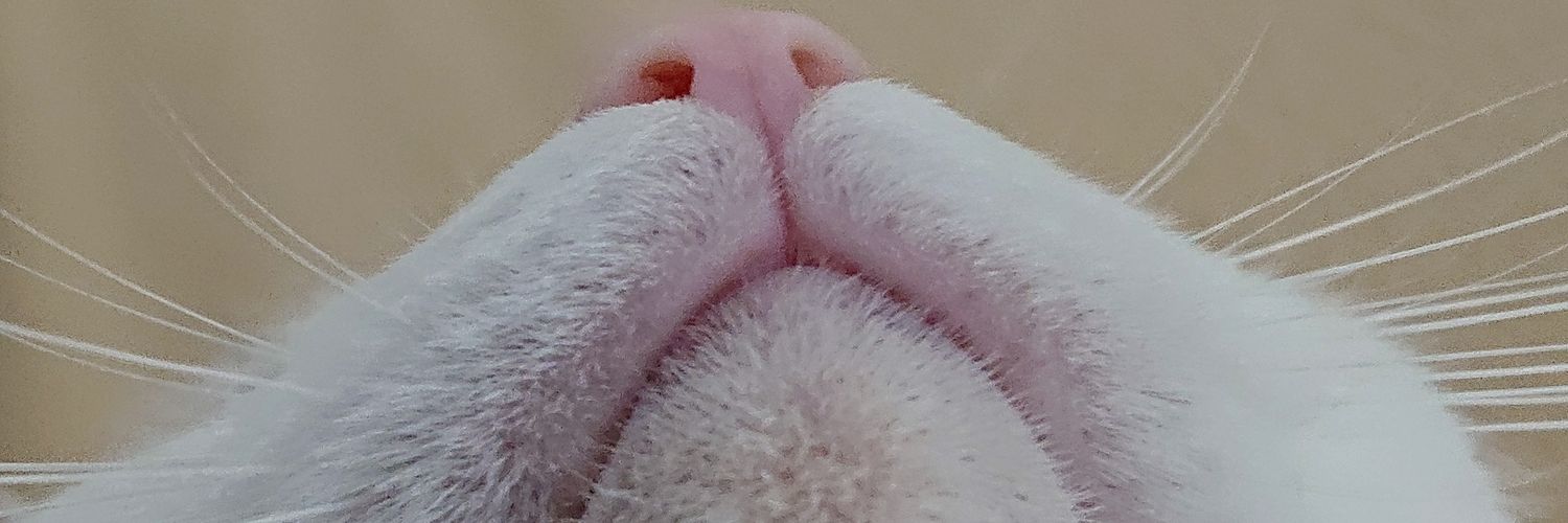 aba121's profile banner image