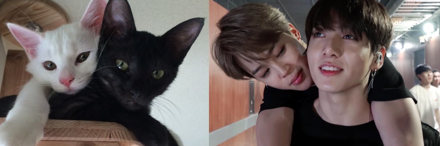 nani ꕤ VA A VER A BTS banner