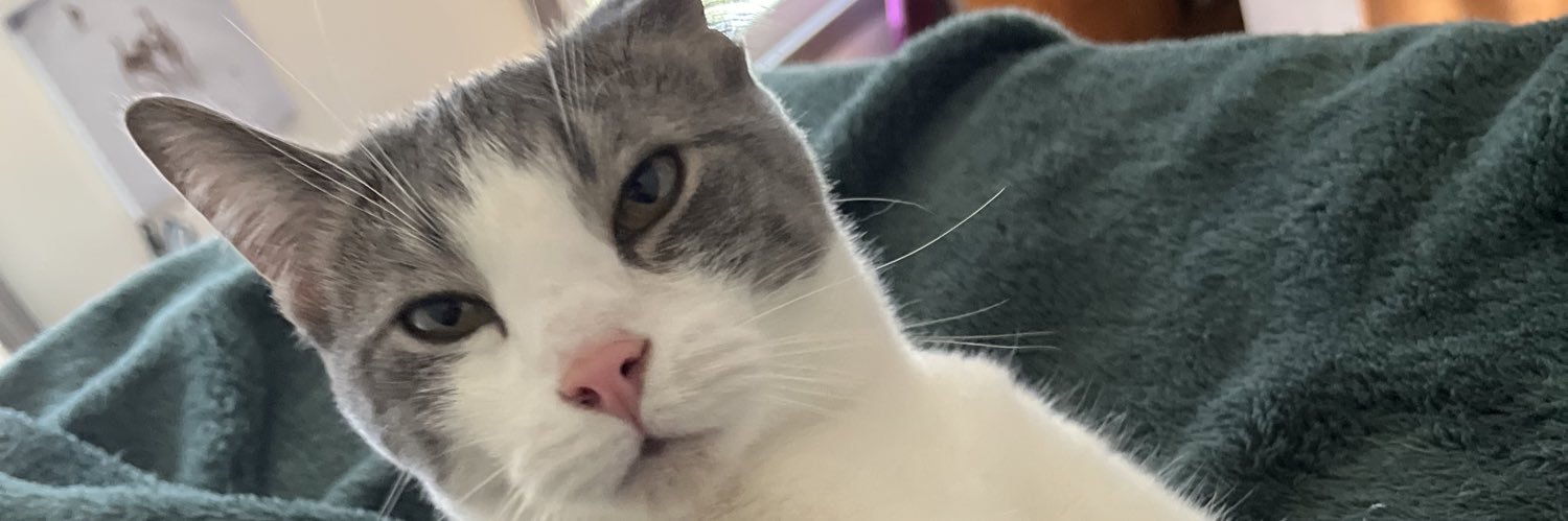 joeblowdow's profile banner image
