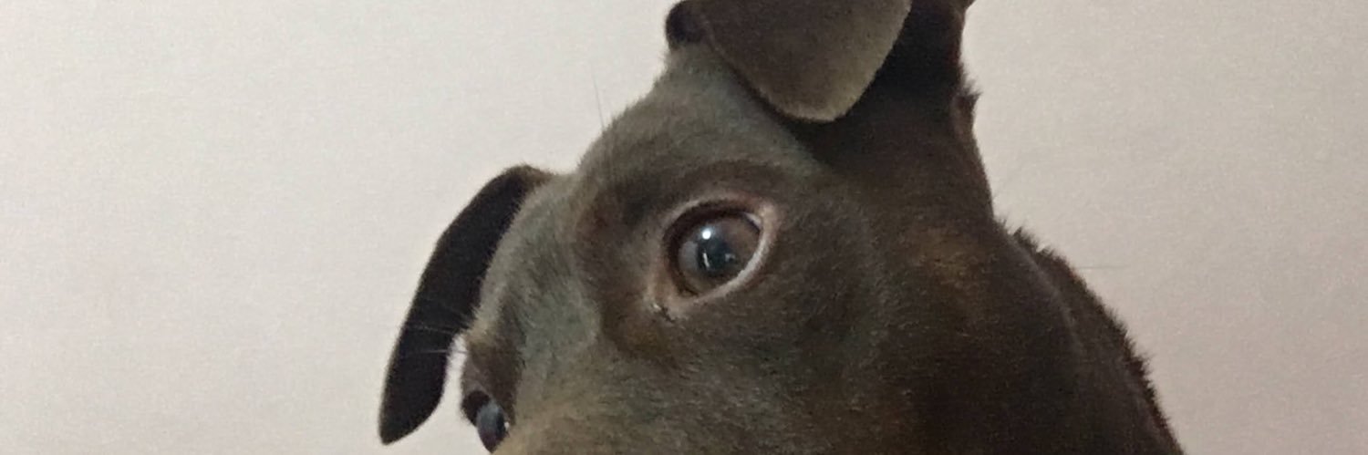 merce banner