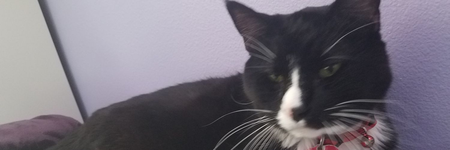 poot_something's profile banner image