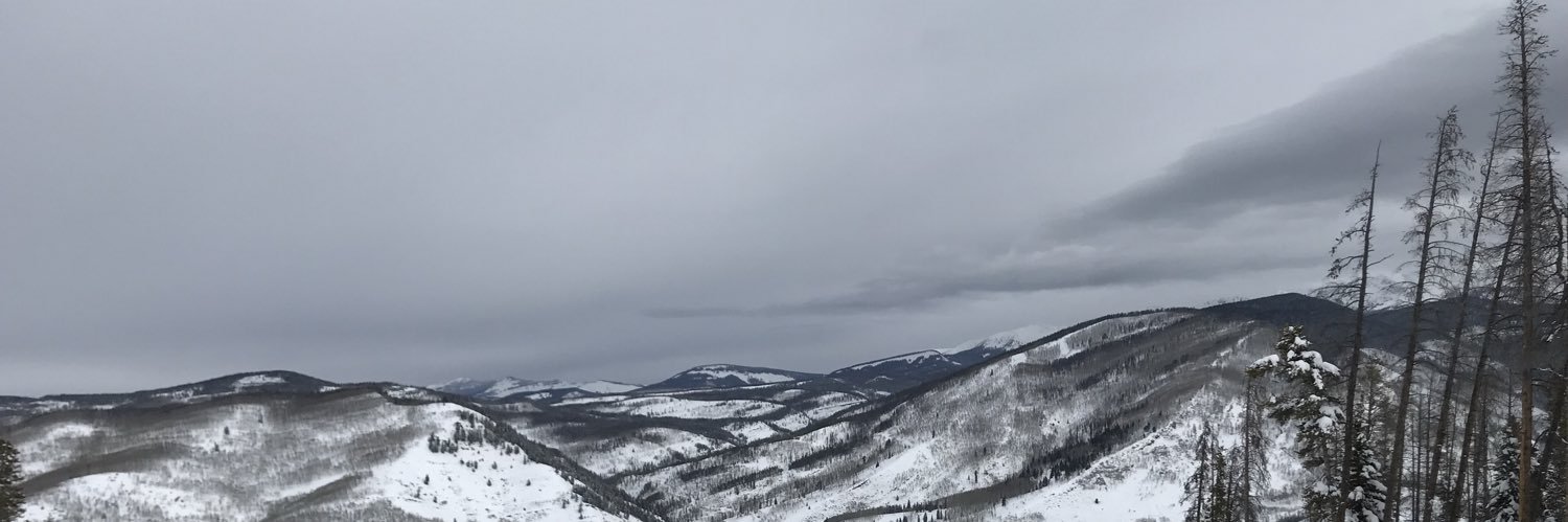 BraxCity29's profile banner image