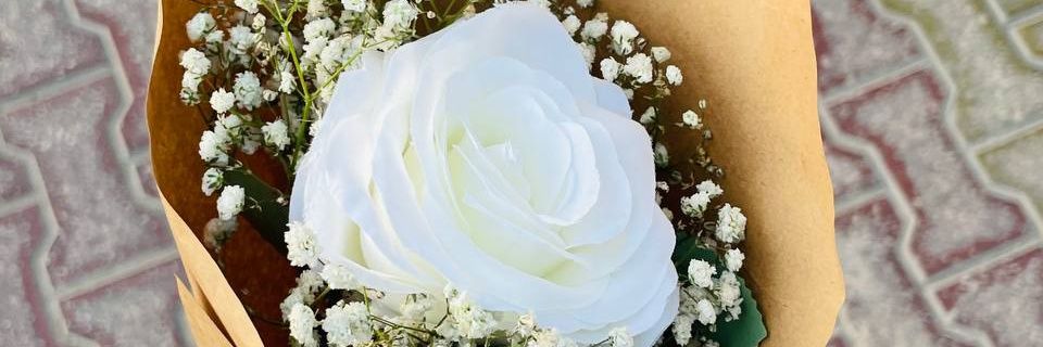 NadaHamdy222's profile banner image